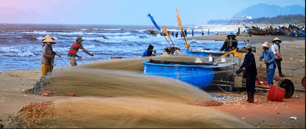 7 điểm chợ Vũng Tàu để mua hải sản tươi ngon “cực” giá rẻ