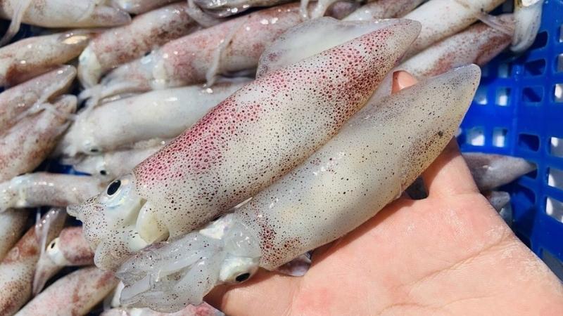 Danh Sách Chợ Hải Sản Đà Nẵng Và Giờ Đóng Cửa Chợ - Tôi Yêu Đà Nẵng