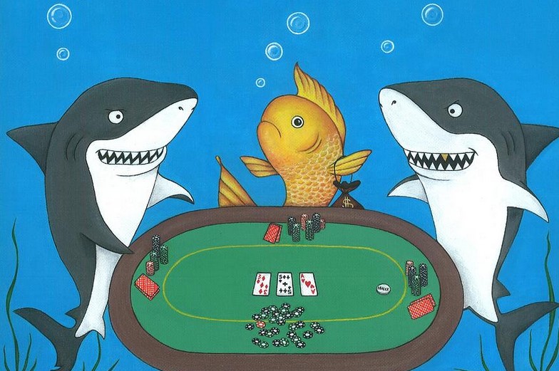 Fish Trong Poker Là Gì? Dấu Hiệu Nhận Biết Fish Trong Poker