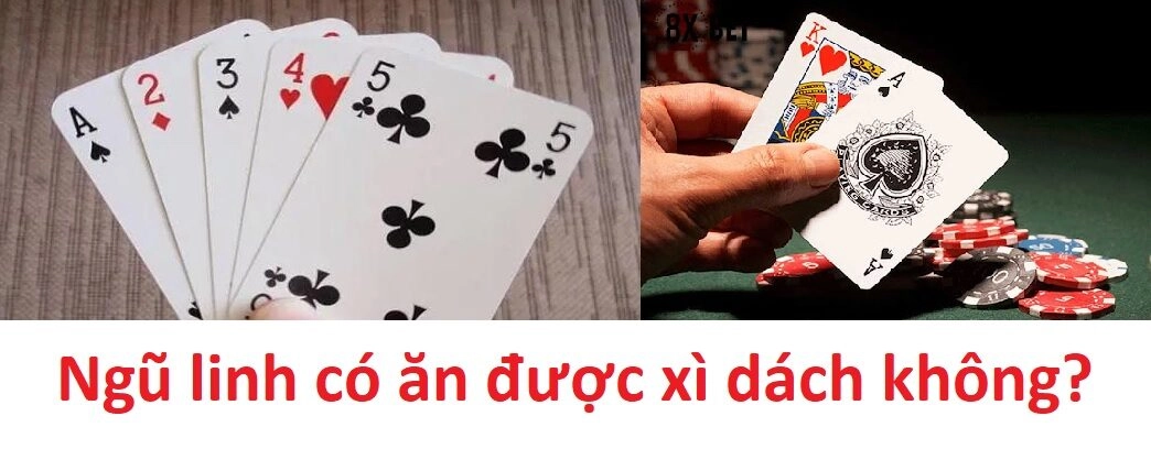 Năm vị thần có thể ăn được trò blackjack không?